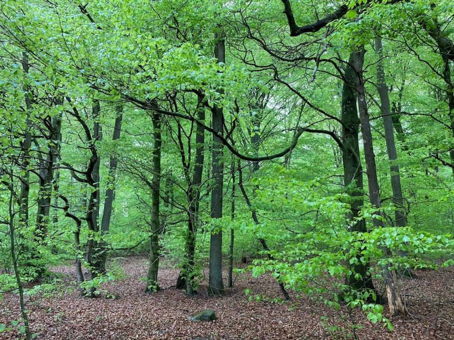 Traumhafte Ferienwohnung Im Landhausstil Hanshagen  Exterior foto